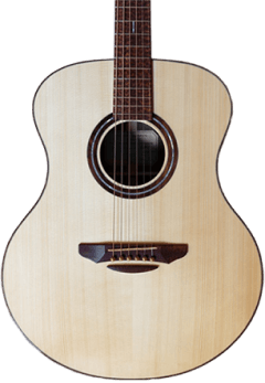 Guitar Shop Acoustic