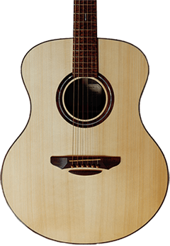 Musical Instrument Acoustic 3