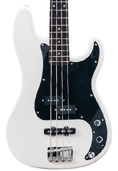 Musical Instrument Bass 2